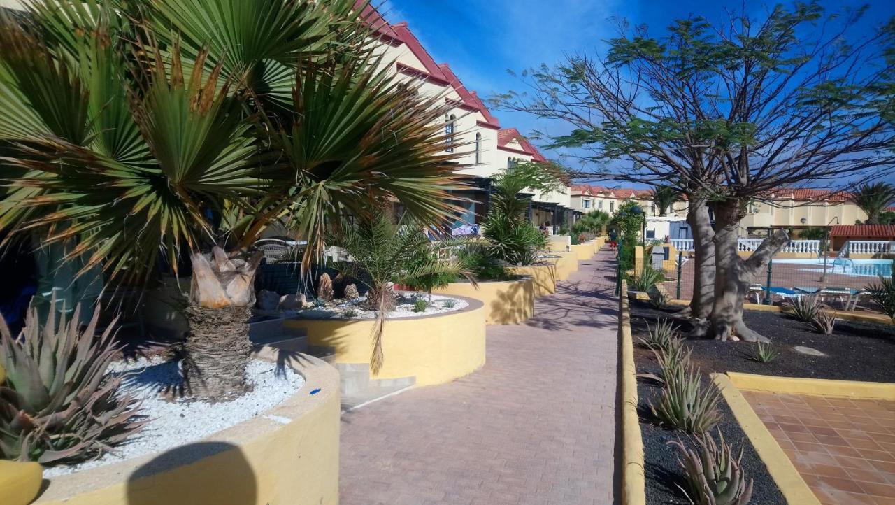 Green Oasis By The Pool Costa Calma Buitenkant foto